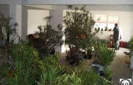 Spatiu de inchiriat in Gheorgheni!