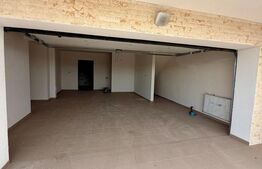 Duplex premium, 5 camere, 240 mp, garaj, Dambul Rotund