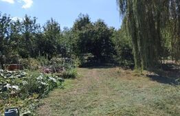 Casă cu teren, livadă, lac și izvor - ideală pentru locuință sau investitie