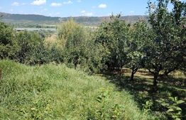 Casă cu teren, livadă, lac și izvor - ideală pentru locuință sau investitie