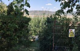 Casă cu teren, livadă, lac și izvor - ideală pentru locuință sau investitie