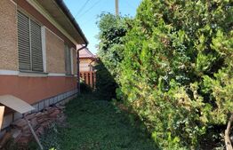 Casă cu teren, livadă, lac și izvor - ideală pentru locuință sau investitie