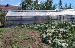Casă cu teren, livadă, lac și izvor - ideală pentru locuință sau investitie