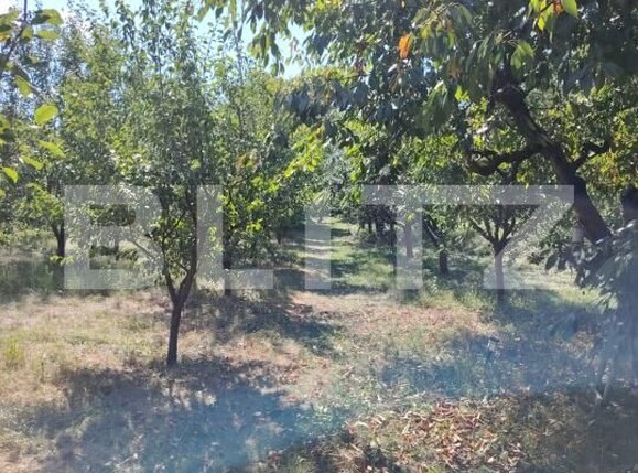 Casa de vânzare 3 camere Luna - 203028CV | BLITZ Cluj-Napoca | Poza8