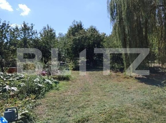 Casa de vânzare 3 camere Luna - 203028CV | BLITZ Cluj-Napoca | Poza6