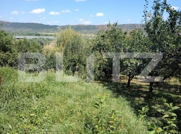 Casa de vânzare 3 camere Luna - 203028CV | BLITZ Cluj-Napoca | Poza10