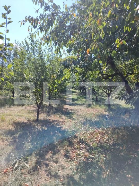 Casa de vânzare 3 camere Luna - 203028CV | BLITZ Cluj-Napoca | Poza8