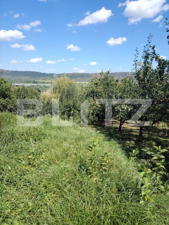 Casa de vânzare 3 camere Luna - 203028CV | BLITZ Cluj-Napoca | Poza10
