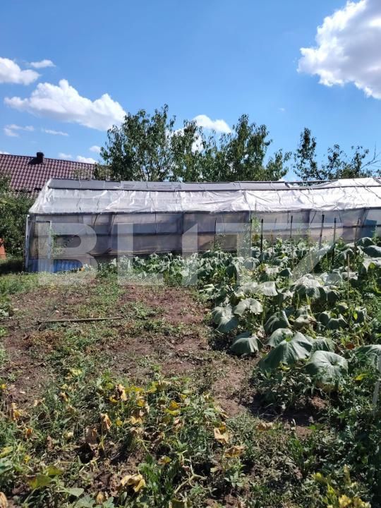 Casa de vânzare 3 camere Luna - 203028CV | BLITZ Cluj-Napoca | Poza7