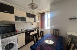 Apartament o cameră, parcare, zona Florilor 