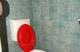 Spatiu 50 mp open space in zona strazii Artelor!