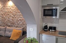 Apartament 2 camere de inchiriat, 40 mp, zona Centrul Istoric