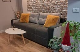 Apartament 2 camere de inchiriat, 40 mp, zona Centrul Istoric