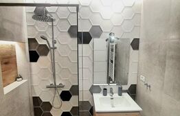 Apartament 2 camere de inchiriat, 40 mp, zona Centrul Istoric