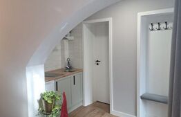 Apartament 2 camere de inchiriat, 40 mp, zona Centrul Istoric