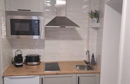 Apartament 2 camere de inchiriat, 40 mp, zona Centrul Istoric