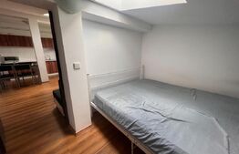 Apartament 2 camere, 50mp, zona Plevnei , Marasti/Someseni