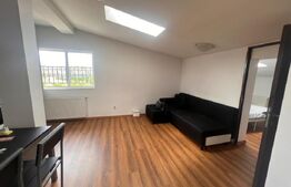 Apartament 2 camere, 50mp, zona Plevnei , Marasti/Someseni