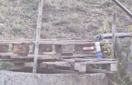 Teren extravilam 5000mp la 10 km de Baile Cijocna