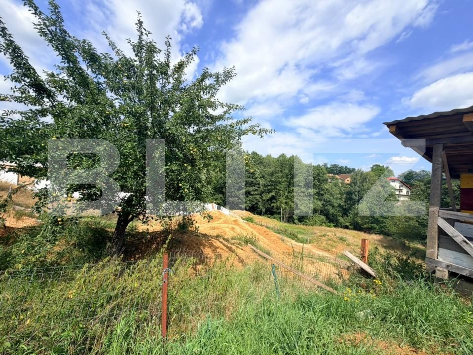 Casa de vânzare 9 camere Predelut - 203206CV | BLITZ Brașov | Poza11
