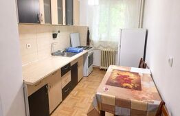 Apartament 2 camere, 50 mp, zona Garii