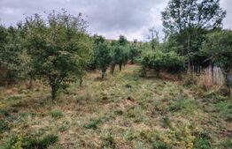 Teren intraviln, 1151 mp, zona Martinesti