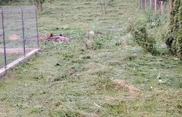 Teren intravilan, 1151 mp, zona Martinesti