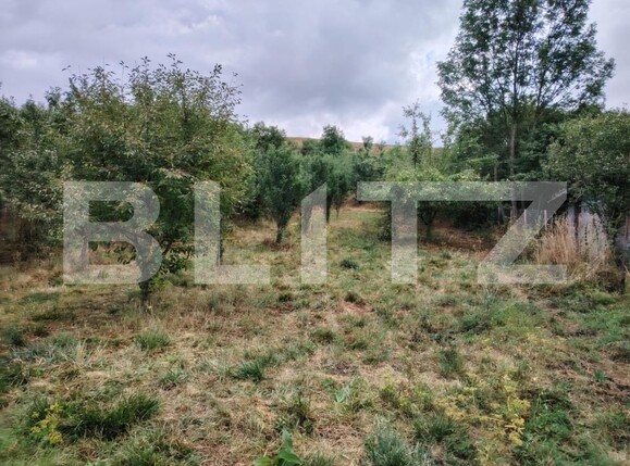Teren de vânzare Mărtineşti - 203249TV | BLITZ Cluj-Napoca | Poza5