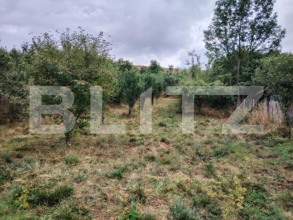 Teren de vânzare Mărtineşti - 203249TV | BLITZ Cluj-Napoca | Poza5