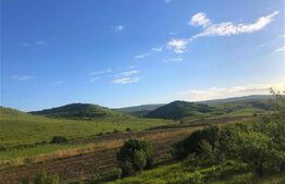 Teren 1.000 mp ,Sat Pata, zonă în dezvoltare si cu acces usor spre oras