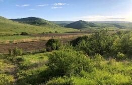 Teren 1.000 mp ,Sat Pata, zonă în dezvoltare si cu acces usor spre oras