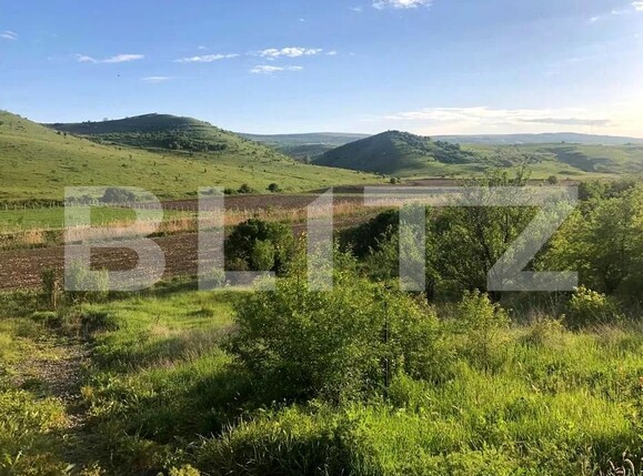 Teren de vânzare Pata - 203298TV | BLITZ Cluj-Napoca | Poza2