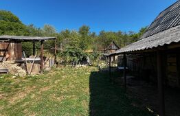 Casa individuala, 97 mp, 2500 mp teren, zona Nadasu