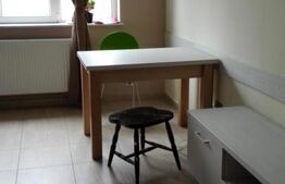 Apartament 2 camere mobilat și utilat, Etaj 2 intermediar, Gheorgheni