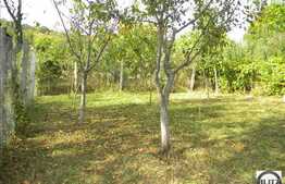 Spatiu superfinisat ideal pentru sediu de firma!