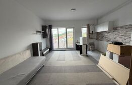 Apartament 2 camere, priveliste frumoasa, parcare subterana, zona Teilor