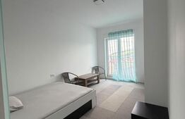 Apartament 2 camere, priveliste frumoasa, parcare subterana, zona Teilor