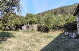 Casă de vânzare, 120 mp, 2077 mp teren, sat Viștea