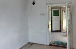 Casă de vânzare, 120 mp, 2077 mp teren, sat Viștea