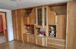 Casă individuală 4 camere, 195 mp, Sat Viștea