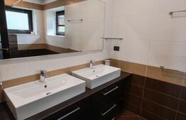 Vilă de închiriat, 500 mp, teren 1.000 mp, zona Noua-Darste