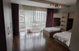 Vilă de închiriat, 500 mp, teren 1.000 mp, zona Noua-Darste