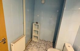 Spațiu pentru birou, 57 mp, zona Astra