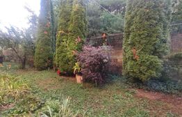 Apartament 3 camere 53 mp , 2 parcări, gradina 65mp, Eroilor