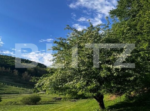 Apartament de vânzare 3 camere Floreşti - 203452AV | BLITZ Cluj-Napoca | Poza17