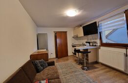 Apartament cu 2 camere, 34 mp, zona Manastur