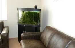 60 mp de birou la super calitate!