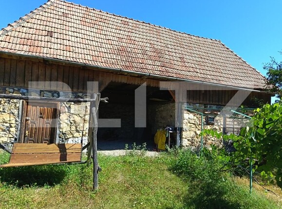 Casa de vânzare 2 camere Petrestii de Jos - 203468CV | BLITZ Cluj-Napoca | Poza8