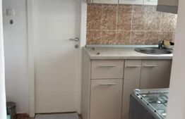 Garsonieră de închiriat, 30 mp, zona Noua