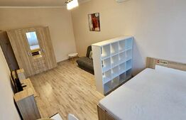 Apartament cu o camera, 43.35 mp, cartier Gruia